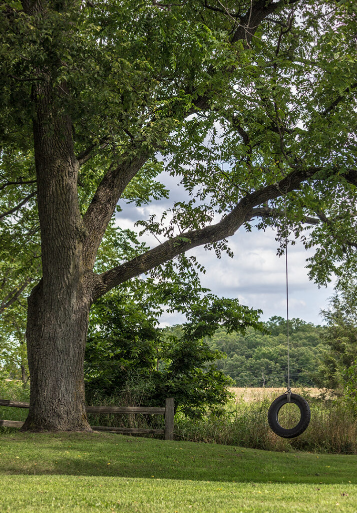 A large tree with leafy branches supports a hanging tire swing on a rope. The tree stands in a grassy yard near a wooden fence, with fields and green trees in the background under a partly cloudy sky.